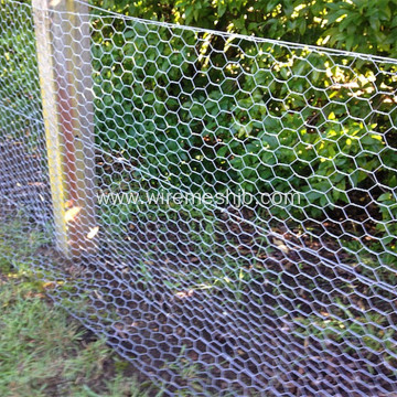 Galvanized Hexagonal Wire Netting For Making Covers